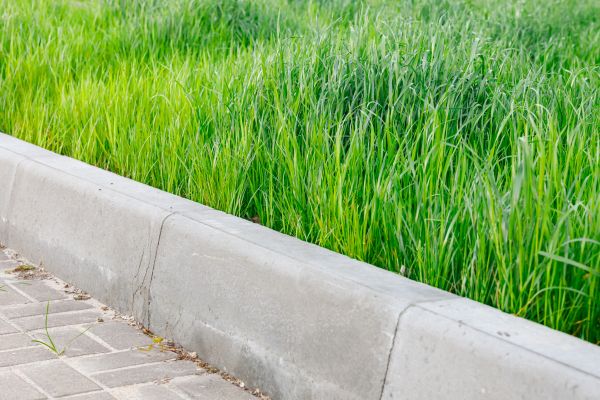 Cost of Concrete Curb Repair in Joliet