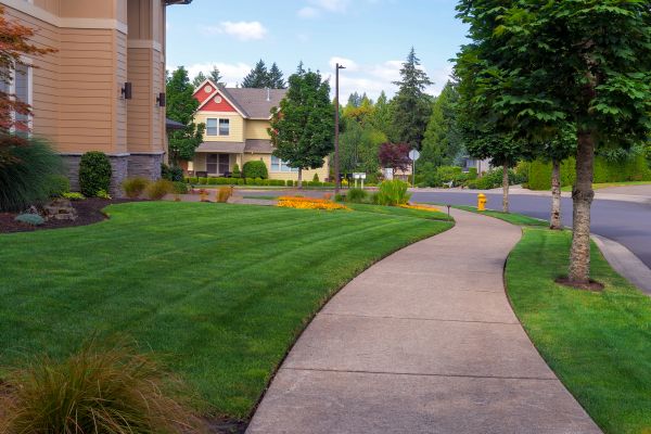 Cost of Sidewalk Patching in Joliet