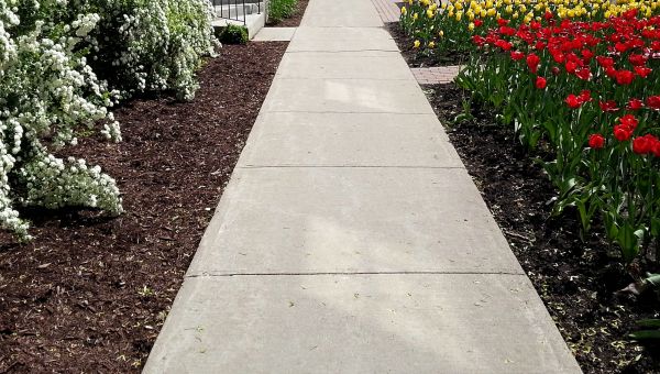 Concrete Pathway Repair in Joliet